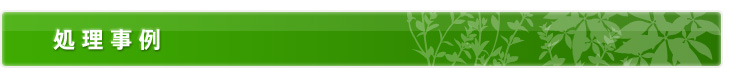 处理事例
