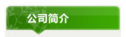 公司简介