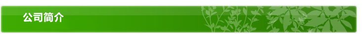 公司简介